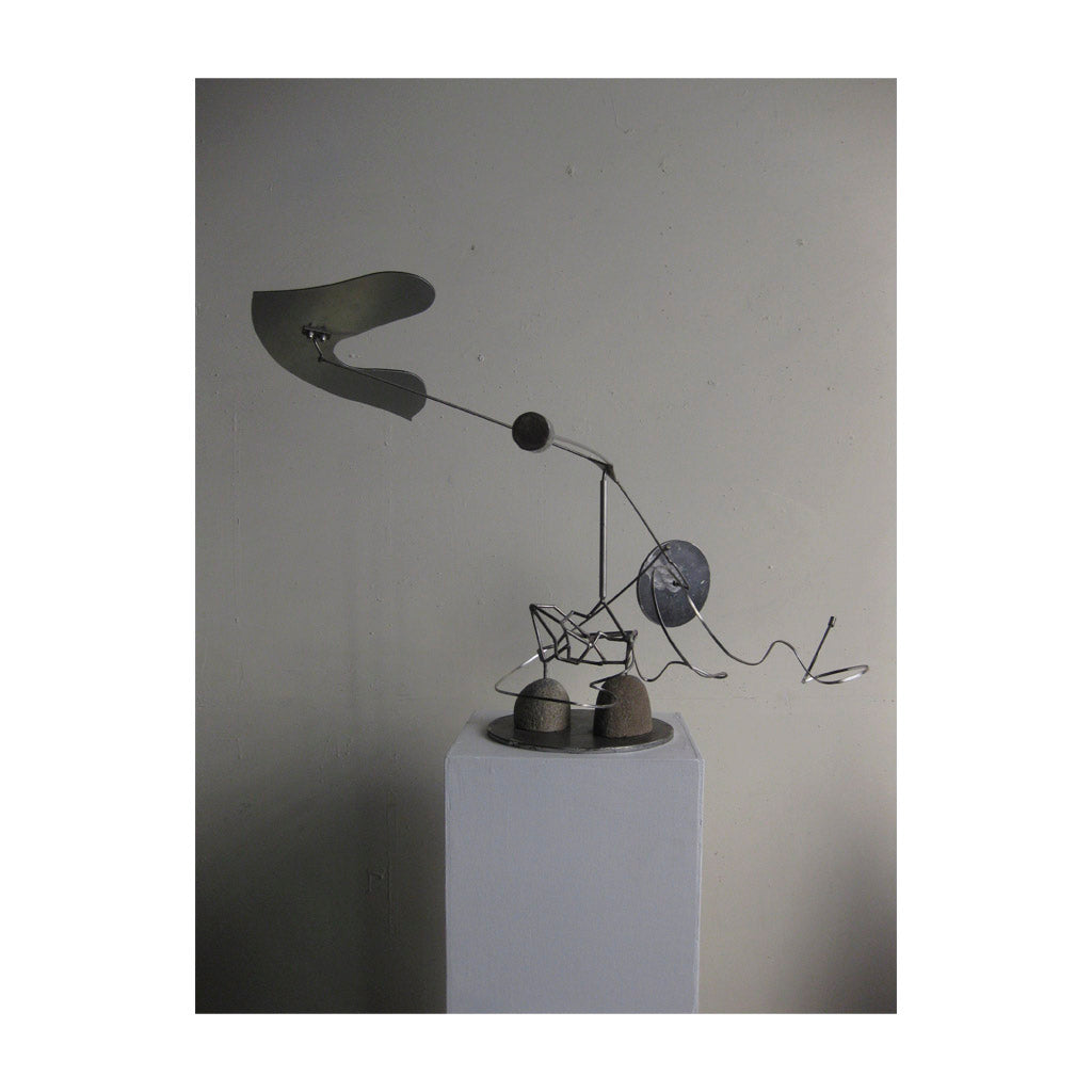 Wild Goose by Hyong Nam Ahn - Waterfall Artful Living HOME