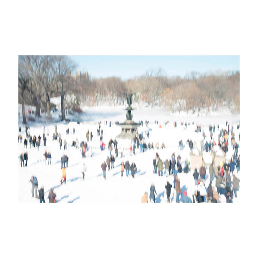 Winter Stroll in Central Park New York