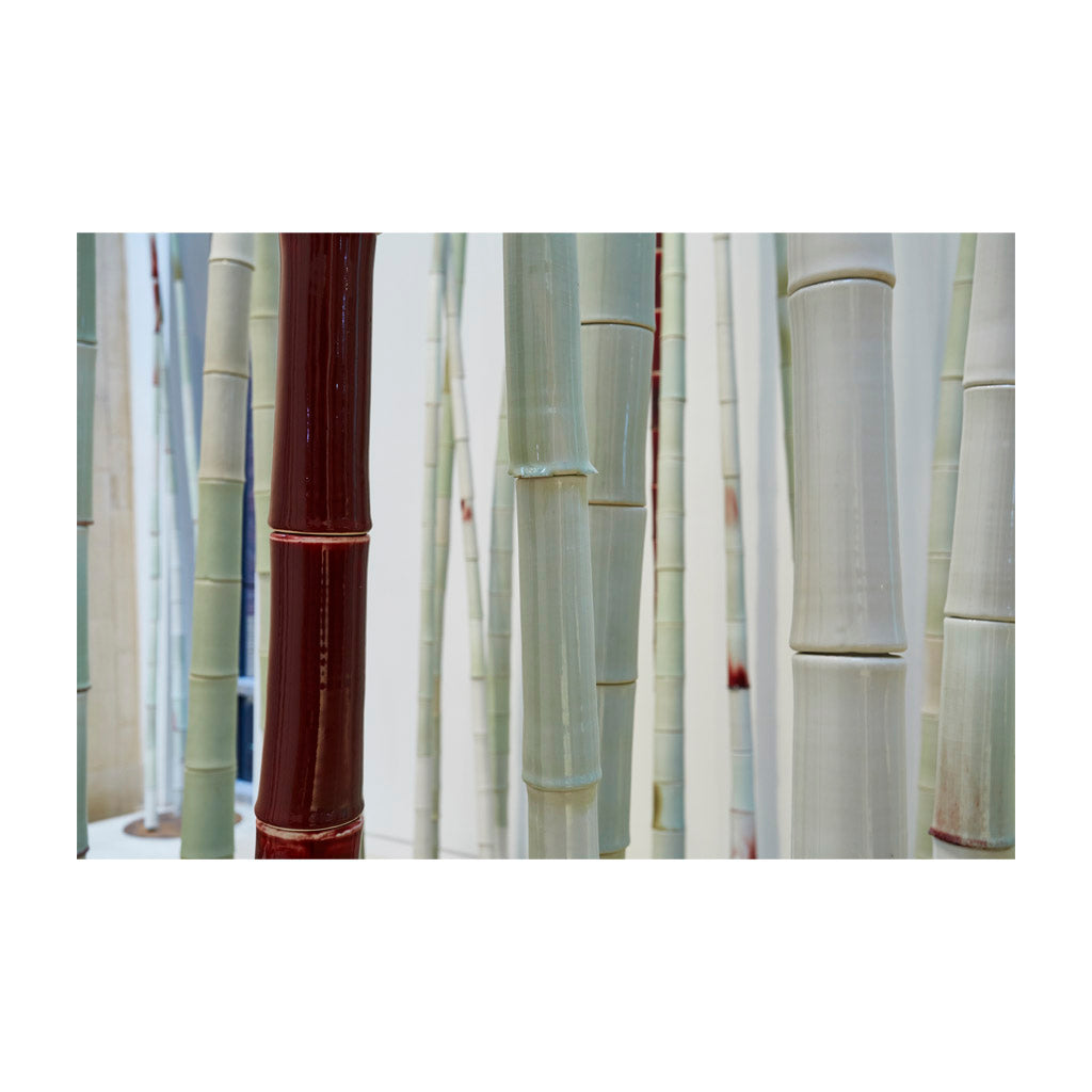 Tao (bamboo tree) (2)